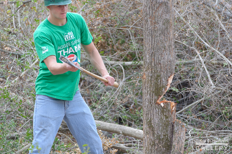 Dcm 012907 Bonfire 2011 Cut Iii Dion C Mcinnis Gallery